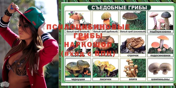 меф Абаза