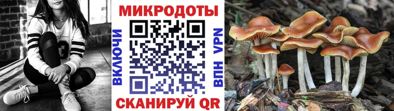 Псилоцибиновые грибы Magic Shrooms  mega ссылка  Карабаново 